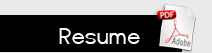 pdf resume